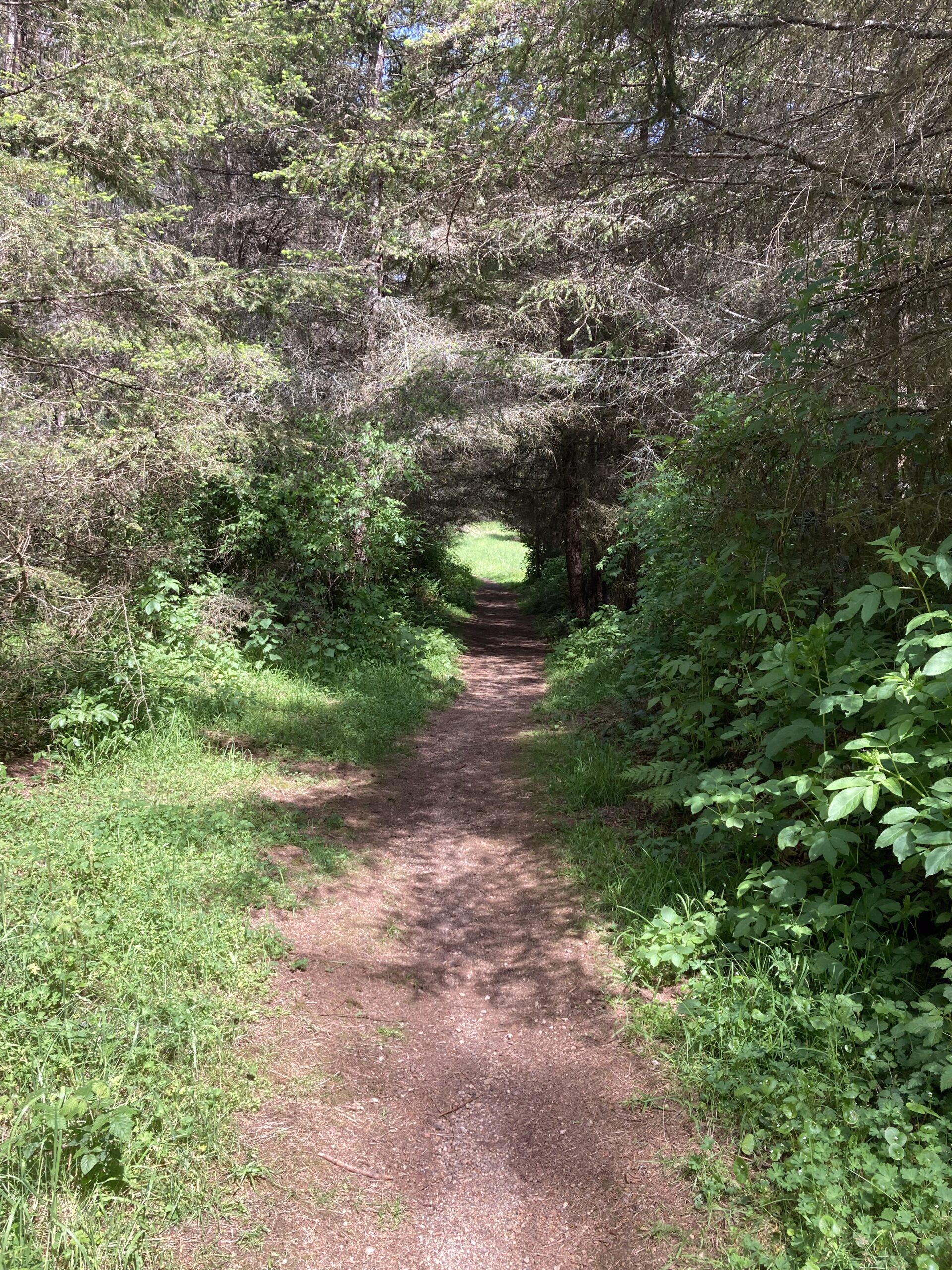 Phillip Burton Wilderness